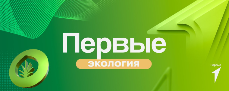 Природные наблюдения.